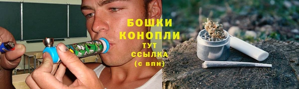 стафф Елабуга
