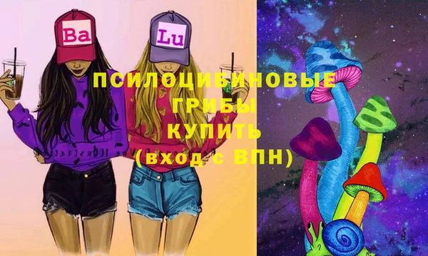 спайс Ельня