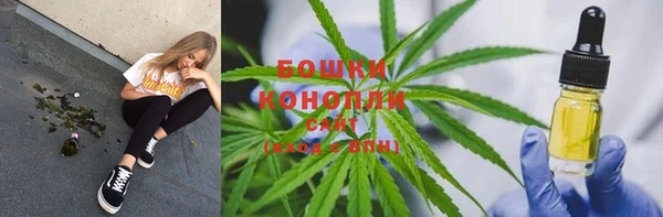 спайс Ельня