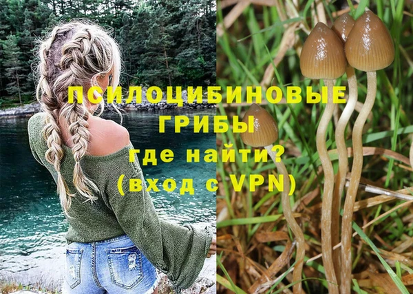 спайс Ельня