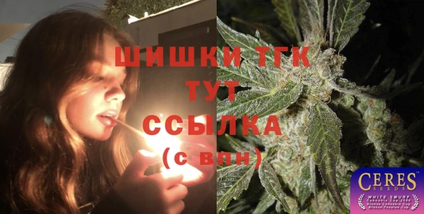 спайс Ельня