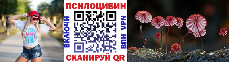 Псилоцибиновые грибы мухоморы  где купить наркоту  Карасук 