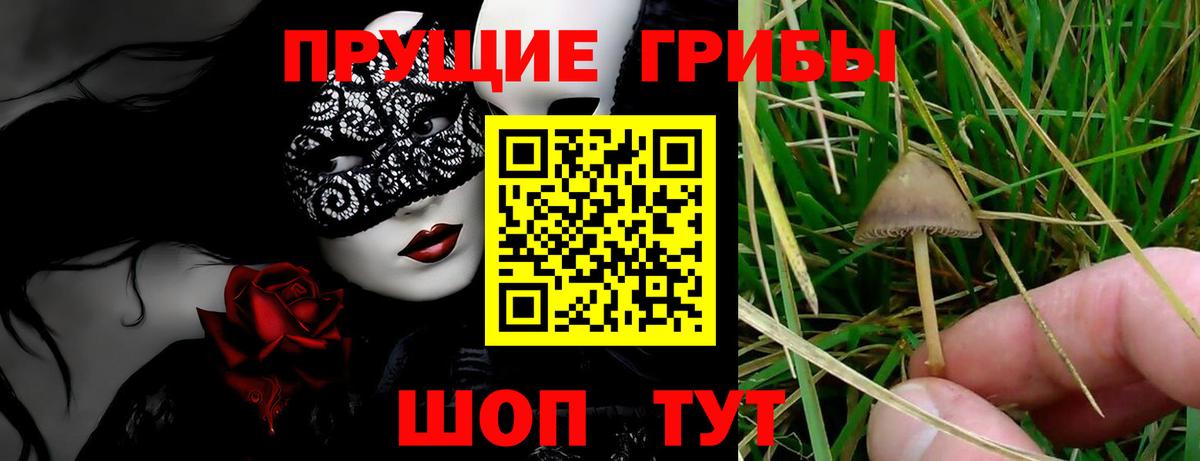 Псилоцибиновые грибы мицелий  Псилоцибиновые грибы MAGIC MUSHROOMS  Вход с VPN  Карасук 